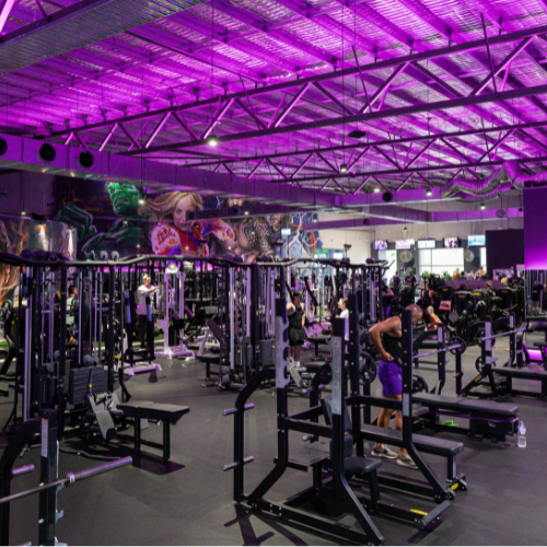 Fitness Cartel Weight Training Area