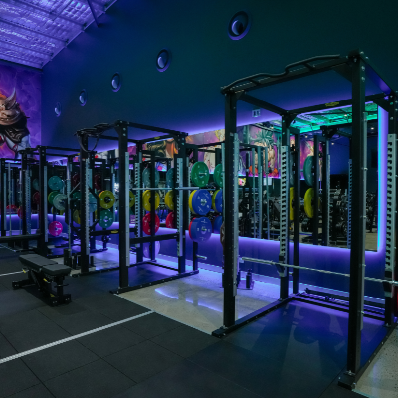 Fitness Cartel Holmview Squat Rack Section