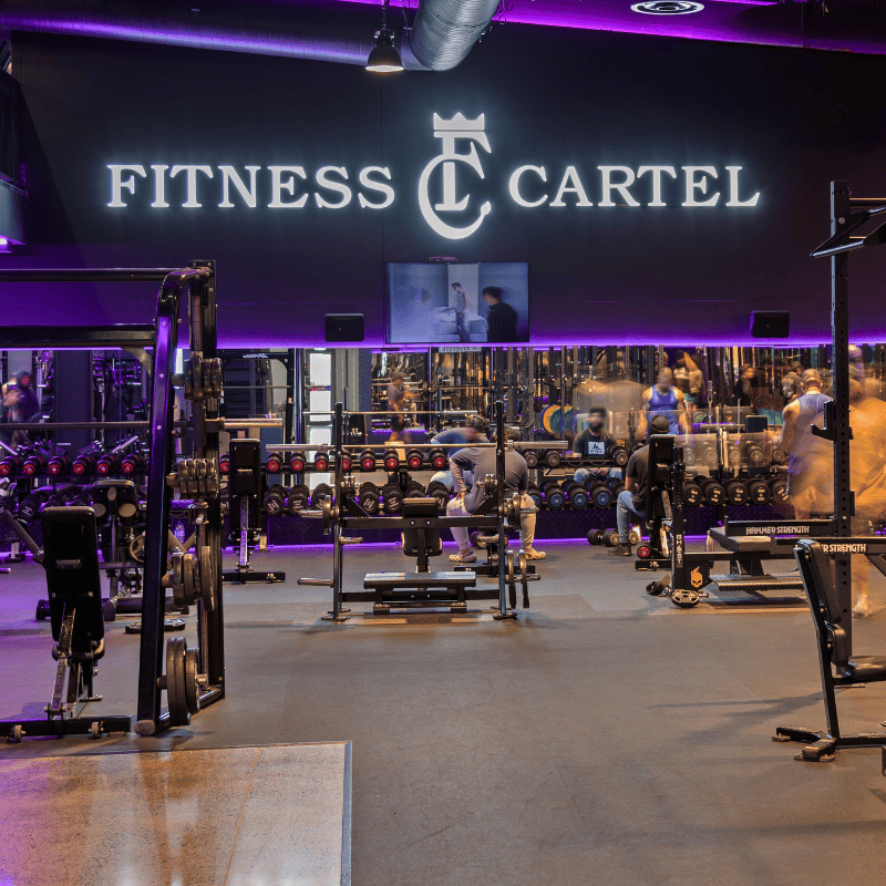 Fitness Cartel Manukau Weight Training Area