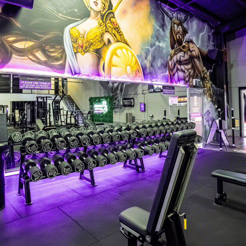 Fitness Cartel Tweed Heads Weight Training Area