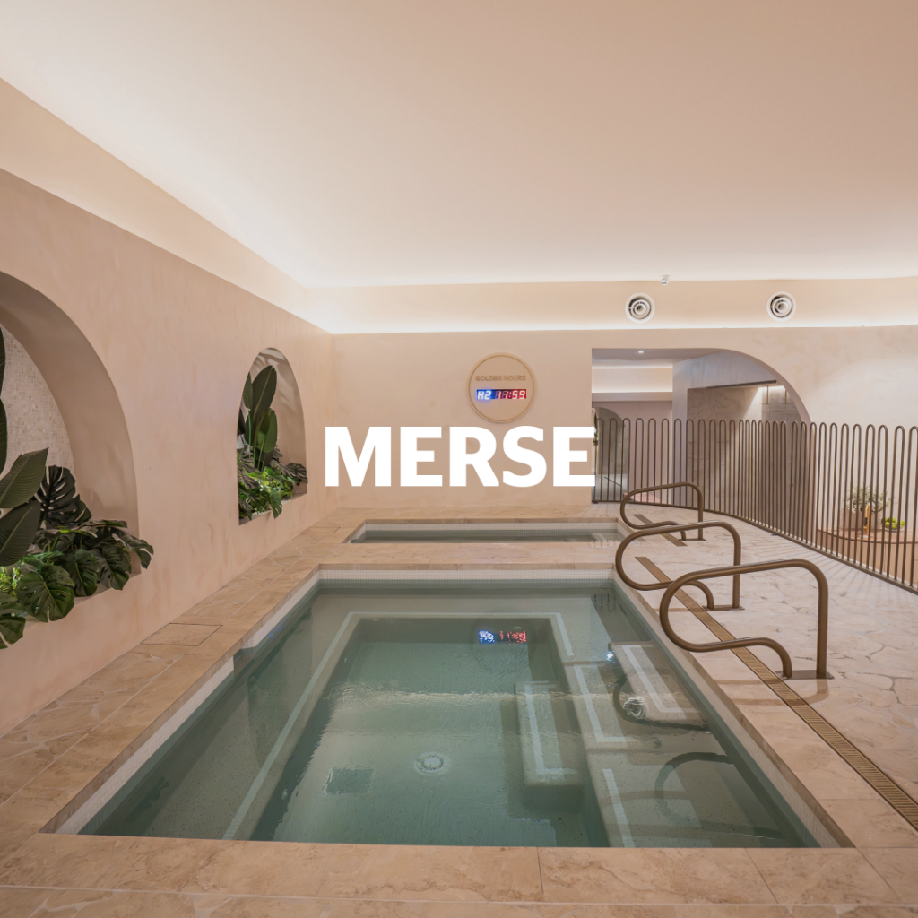 Merse Wellness Ice Pool